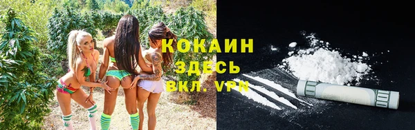 винт Бронницы
