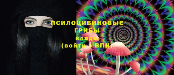 винт Бронницы