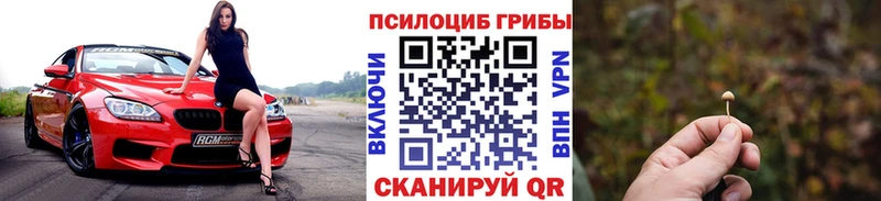 Галлюциногенные грибы Psilocybine cubensis  Санкт-Петербург 